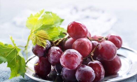 rezveratrol vélemények