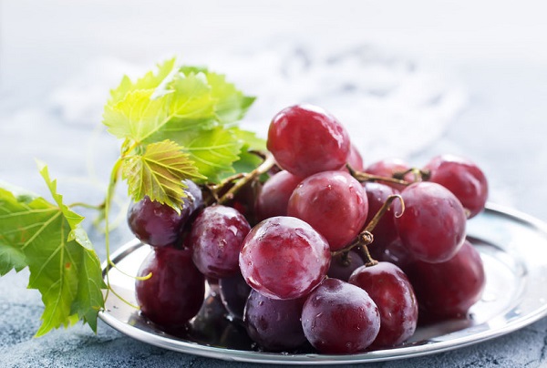 rezveratrol vélemények